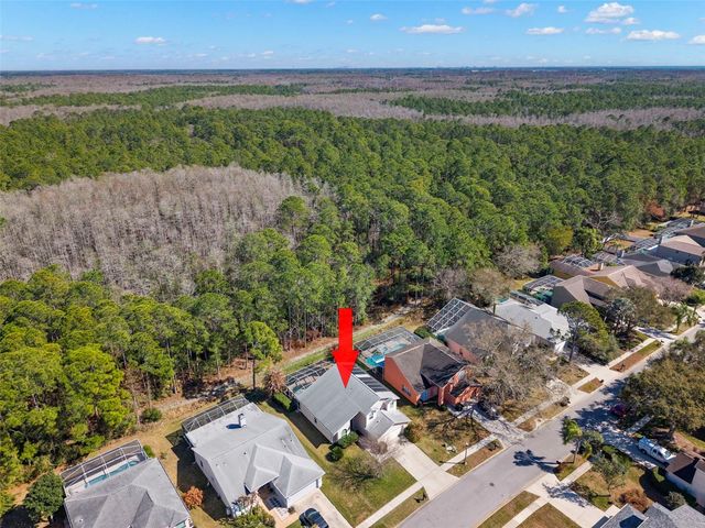 1703 BAYHILL DRIVE, Oldsmar, FL 34677