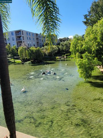 310 N Civic Dr. 315, Walnut Creek, CA 94597