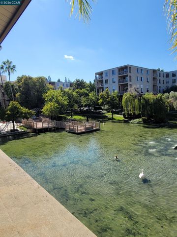 310 N Civic Dr. 315, Walnut Creek, CA 94597