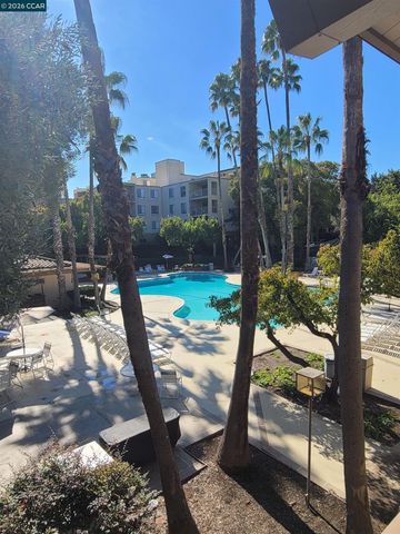 310 N Civic Dr. 315, Walnut Creek, CA 94597