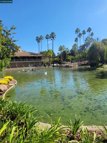 310 N Civic Dr. 315, Walnut Creek, CA 94597