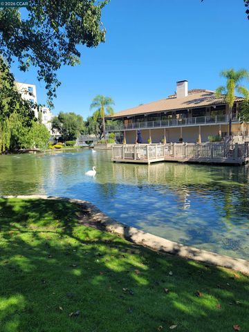 310 N Civic Dr. 315, Walnut Creek, CA 94597