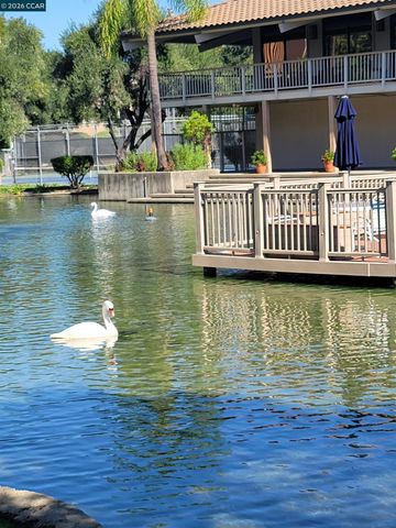 310 N Civic Dr. 315, Walnut Creek, CA 94597