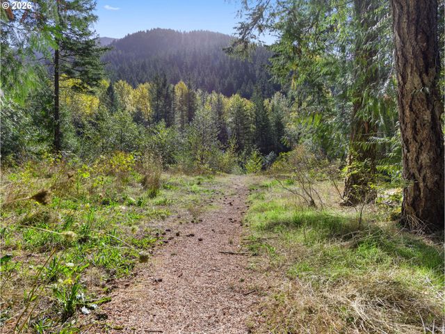 72691 E VILLAGE LOOP Rd, Rhododendron, OR 97049