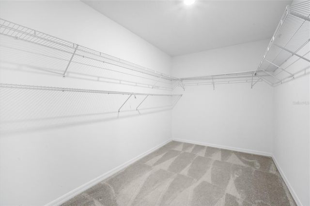 8893 PARSONS HILL BOULEVARD, Wesley Chapel, FL 33545