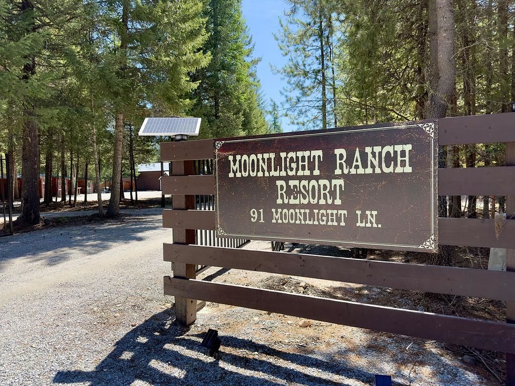 91 Moonlight Ln, Newport, WA 99156 photo 3