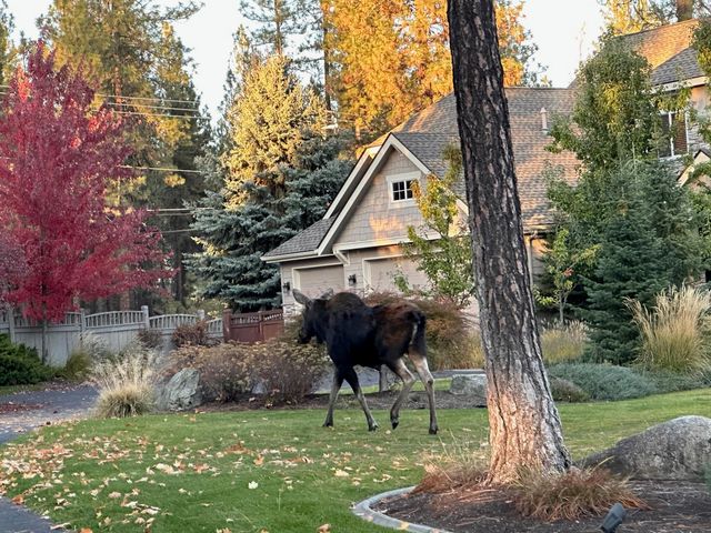 1525 E Heritage Ln, Spokane, WA 99208