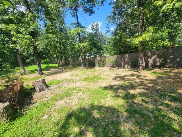 90 Wildwood Drive, Highland, AR 72542