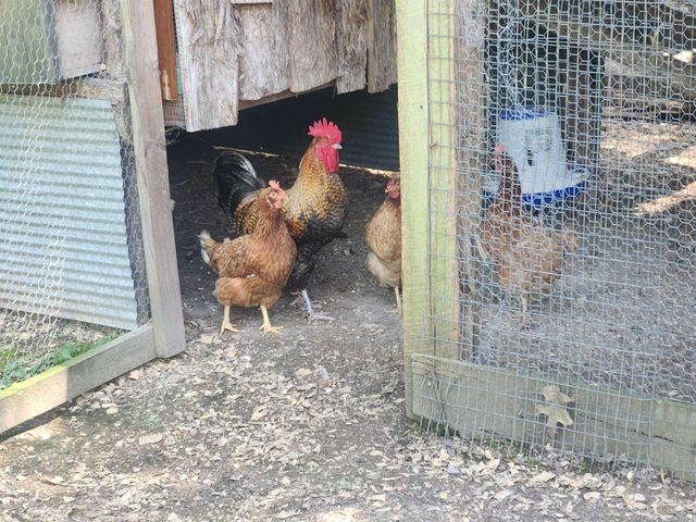 90 Wildwood Drive, Highland, AR 72542