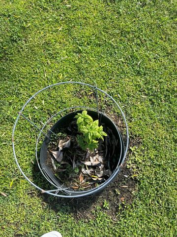 1592 SE Burning Court, Port St Lucie, FL 34952