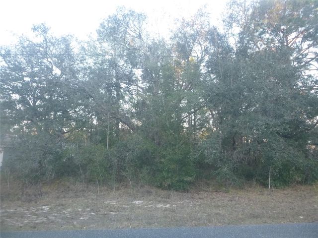 8253 N KROUSE WAY, Dunnellon, FL 34433