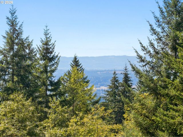 14805 Ne 249TH Ave, Brush Prairie, WA 98606