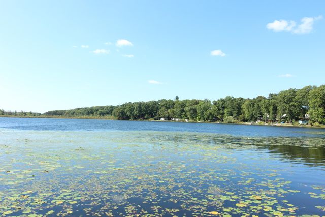 51140 Maple Road, Marcellus Twp, MI 49067