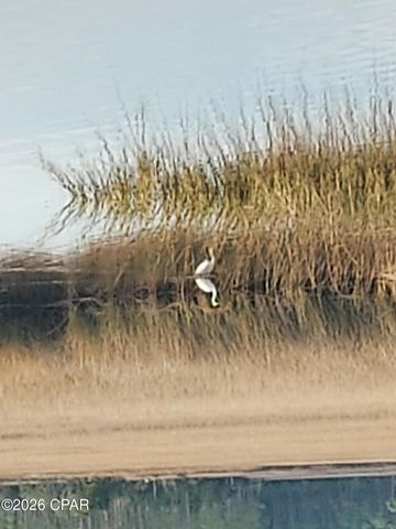 6401 E Sundew Marsh Trail Lot 75, Panama City Beach, FL 32413