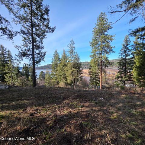 NKA Garfeild, Harrison, ID 83833