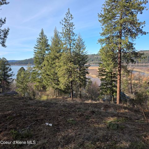 NKA Garfeild, Harrison, ID 83833