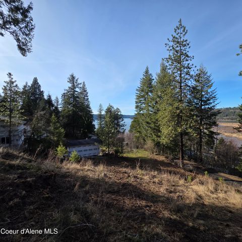 NKA Garfeild, Harrison, ID 83833