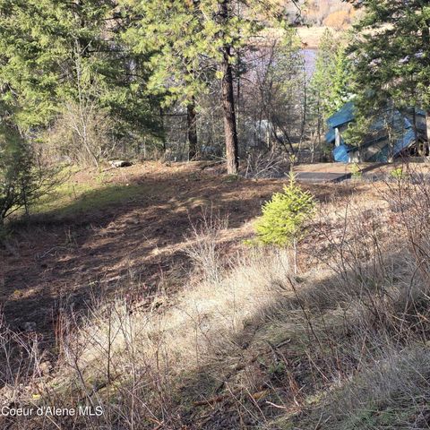 NKA Garfeild, Harrison, ID 83833