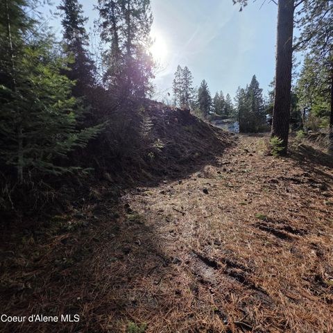 NKA Garfeild, Harrison, ID 83833