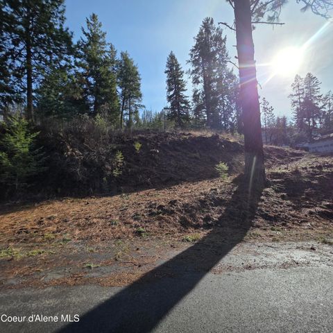 NKA Garfeild, Harrison, ID 83833