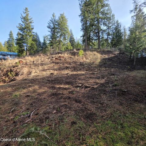 NKA Garfeild, Harrison, ID 83833
