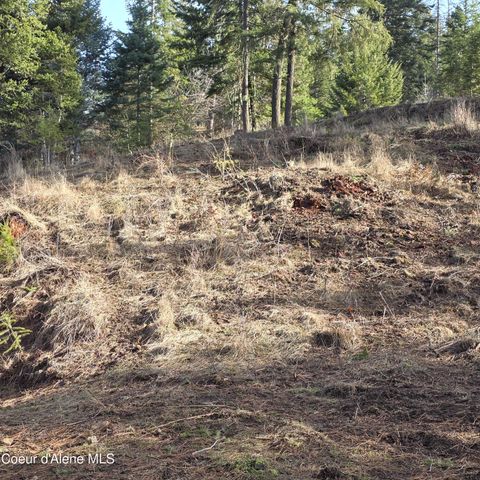 NKA Garfeild, Harrison, ID 83833