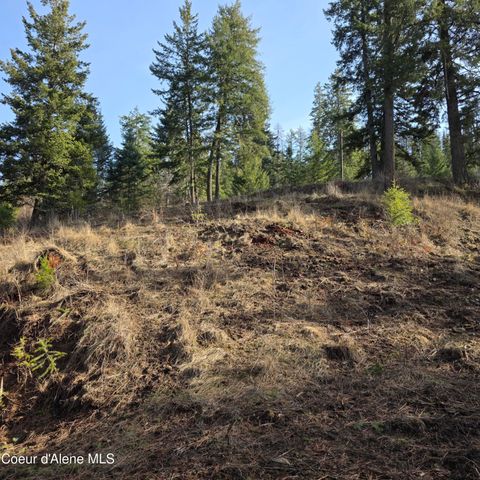 NKA Garfeild, Harrison, ID 83833