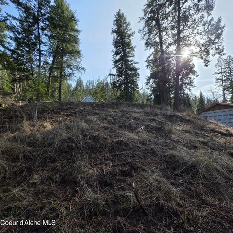 NKA Garfeild, Harrison, ID 83833