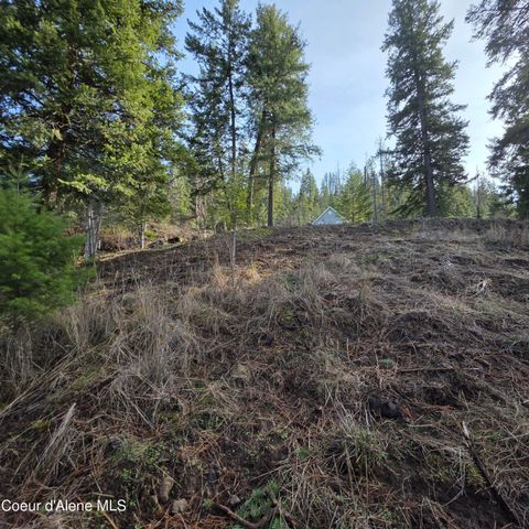 NKA Garfeild, Harrison, ID 83833