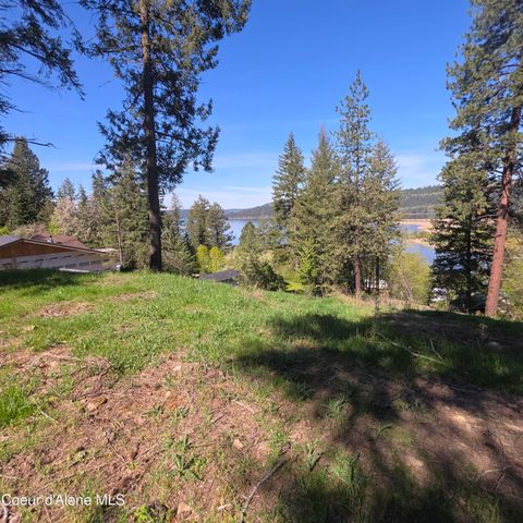 NKA Garfeild, Harrison, ID 83833