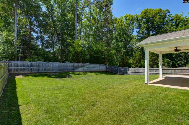 454 Malachite Lane, Chapin, SC 29036