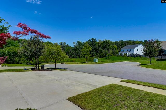 454 Malachite Lane, Chapin, SC 29036