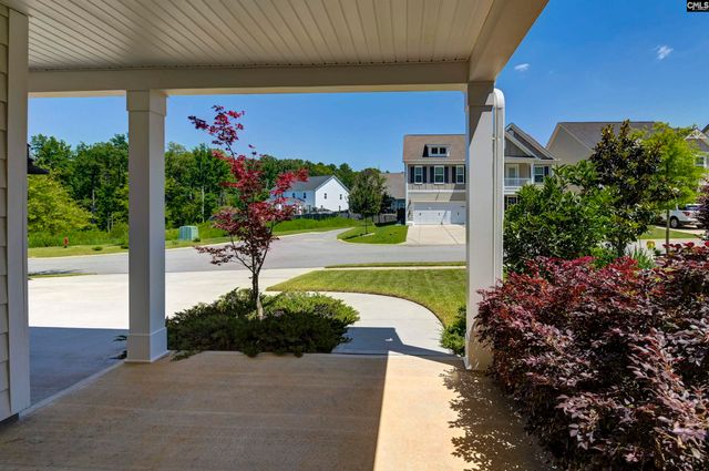 454 Malachite Lane, Chapin, SC 29036