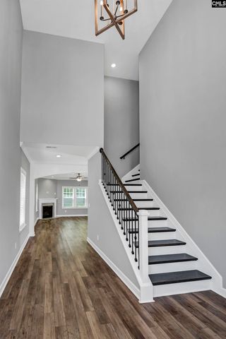 454 Malachite Lane, Chapin, SC 29036