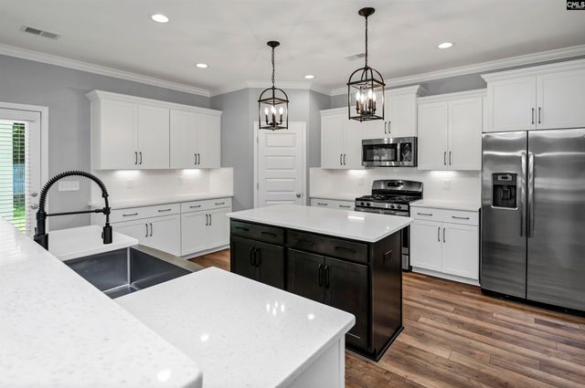 454 Malachite Lane, Chapin, SC 29036