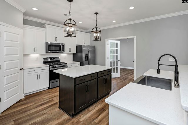 454 Malachite Lane, Chapin, SC 29036