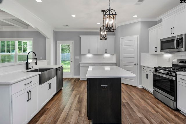 454 Malachite Lane, Chapin, SC 29036