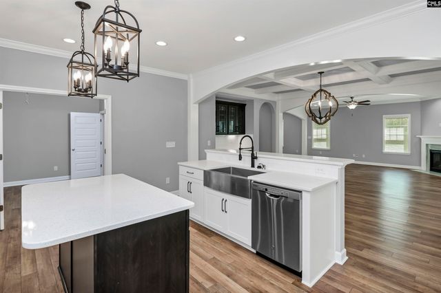 454 Malachite Lane, Chapin, SC 29036