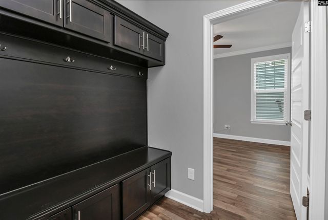 454 Malachite Lane, Chapin, SC 29036