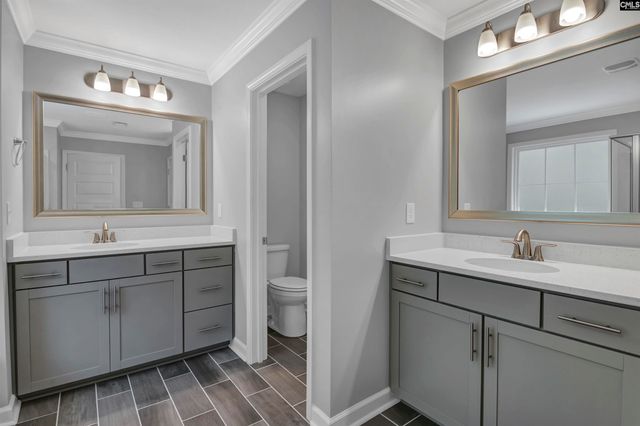 454 Malachite Lane, Chapin, SC 29036