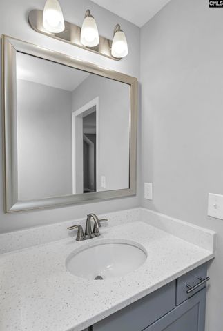454 Malachite Lane, Chapin, SC 29036