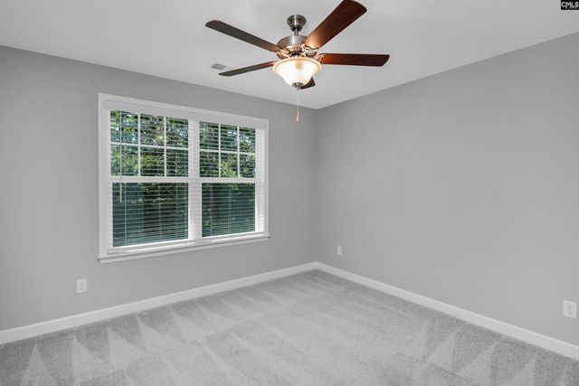 454 Malachite Lane, Chapin, SC 29036