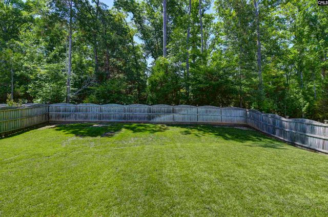 454 Malachite Lane, Chapin, SC 29036