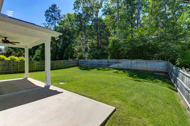 454 Malachite Lane, Chapin, SC 29036