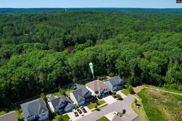 454 Malachite Lane, Chapin, SC 29036