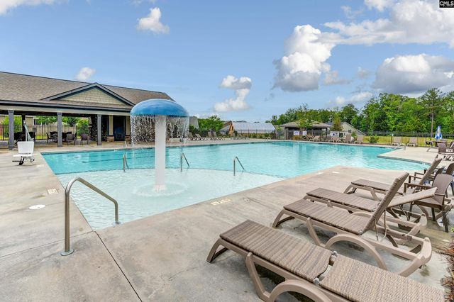 454 Malachite Lane, Chapin, SC 29036