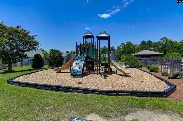 454 Malachite Lane, Chapin, SC 29036