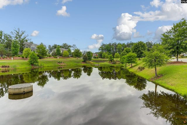454 Malachite Lane, Chapin, SC 29036