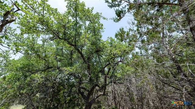 34705 Mayer Oaks, Bulverde, TX 78613