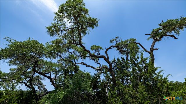 34705 Mayer Oaks, Bulverde, TX 78613